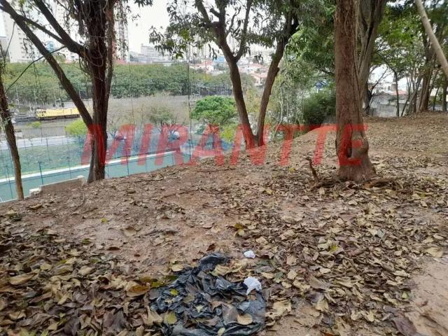 Terreno / Lote para Venda em São Paulo/SP Vila Mazzei