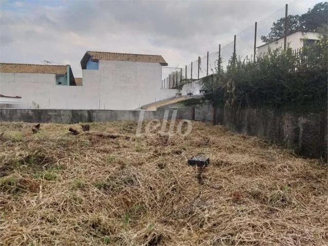 Terreno / Lote para Venda em São Paulo/SP Vila Mazzei