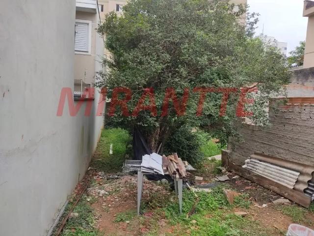 Terreno / Lote para Venda em São Paulo/SP Vila Mazzei