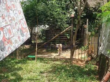 Terreno / Lote para Venda em São Paulo/SP Vila Mazzei