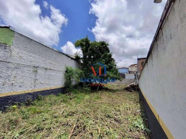Terreno / Lote para Venda em São Paulo/SP Vila Mazzei