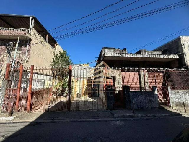 Terreno / Lote para Venda em São Paulo/SP Vila Medeiros
