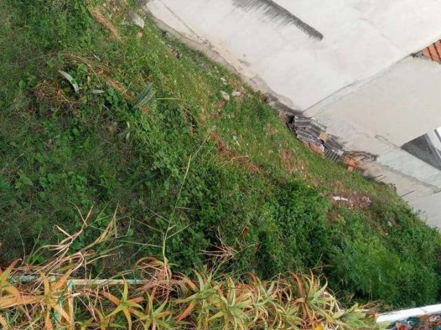 Terreno / Lote para Venda em São Paulo/SP Vila Monumento