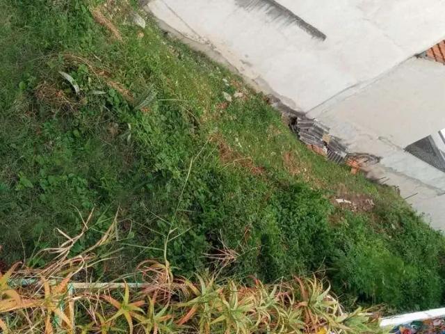 Terreno / Lote para Venda em São Paulo/SP Vila Monumento