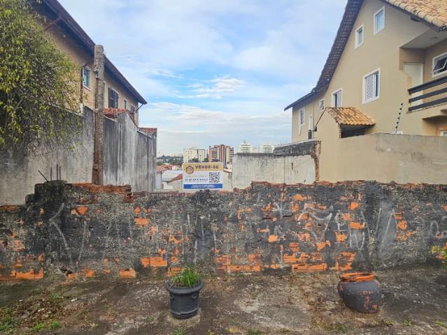 Terreno / Lote para Venda em São Paulo/SP Vila Morse
