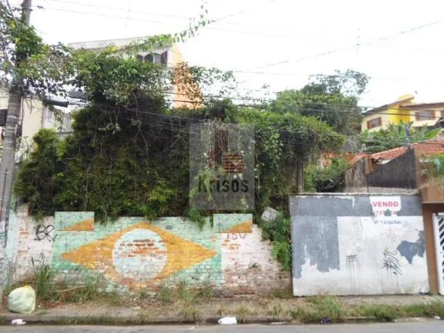 Terreno / Lote para Venda em São Paulo/SP Vila Morse