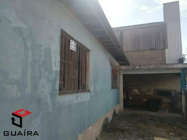 Terreno / Lote para Venda em São Paulo/SP Vila Nair