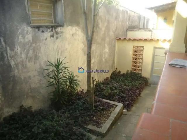 Terreno / Lote para Venda em São Paulo/SP Vila Natália