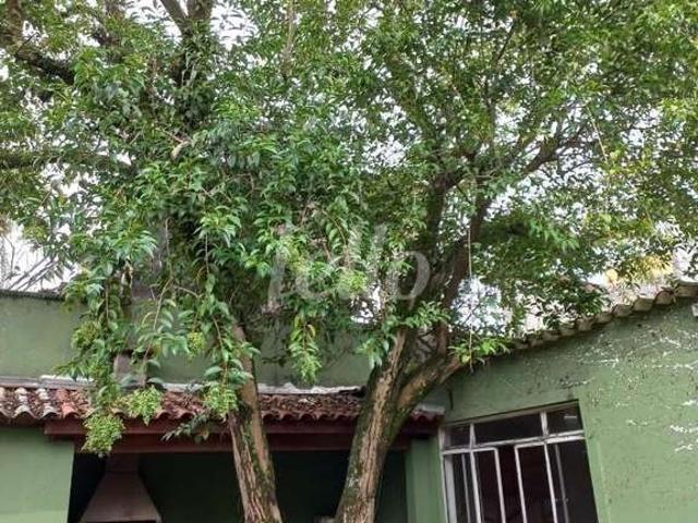 Terreno / Lote para Venda em São Paulo/SP Vila Nova Conceição