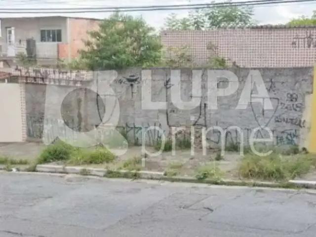 Terreno / Lote para Venda em São Paulo/SP Vila Nova Cachoeirinha