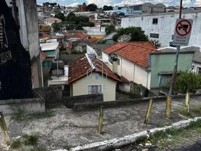 Terreno / Lote para Venda em São Paulo/SP Vila Nova Cachoeirinha 3 Quartos