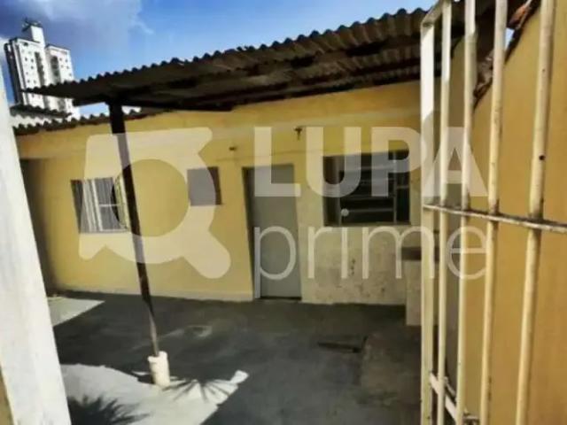 Terreno / Lote para Venda em São Paulo/SP Vila Nova Cachoeirinha