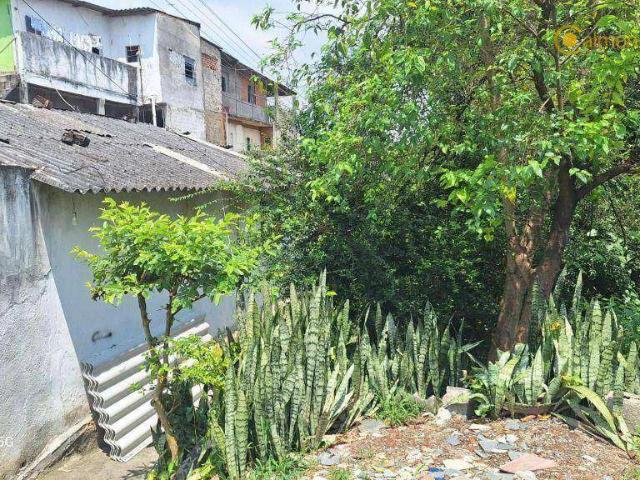 Terreno / Lote para Venda em São Paulo/SP Vila Nova Galvão