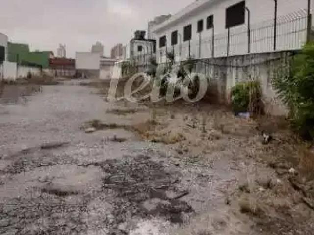 Terreno / Lote para Venda em São Paulo/SP Vila Nova Manchester