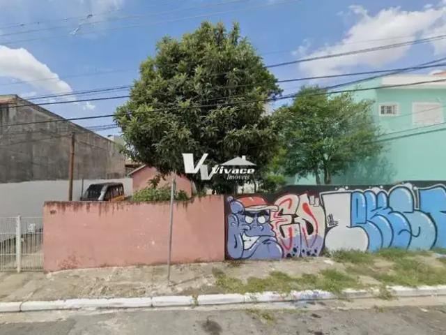 Terreno / Lote para Venda em São Paulo/SP Vila Nova Savoia