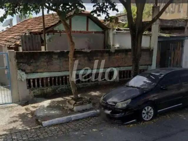 Terreno / Lote para Venda em São Paulo/SP Vila Oratório