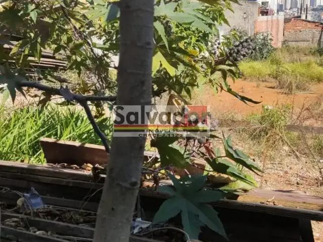 Terreno / Lote para Venda em São Paulo/SP Vila Água Funda