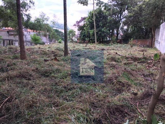 Terreno / Lote para Venda em São Paulo/SP Vila Albertina