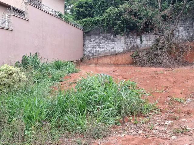Terreno / Lote para Venda em São Paulo/SP Vila Albertina