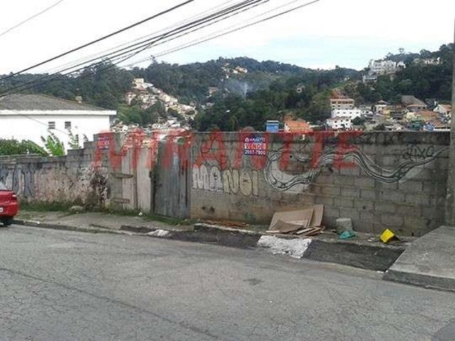 Terreno / Lote para Venda em São Paulo/SP Vila Albertina