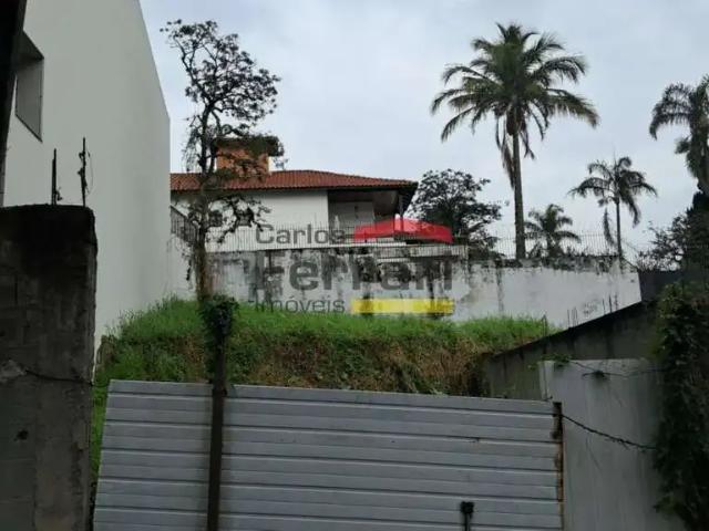 Terreno / Lote para Venda em São Paulo/SP Vila Albertina
