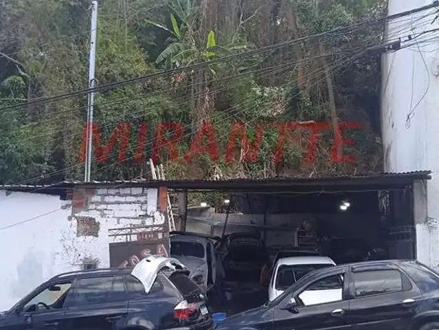 Terreno / Lote para Venda em São Paulo/SP Vila Albertina