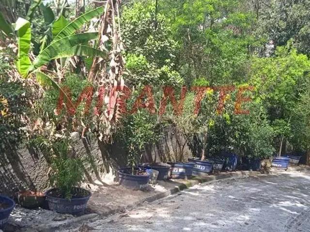 Terreno / Lote para Venda em São Paulo/SP Vila Albertina