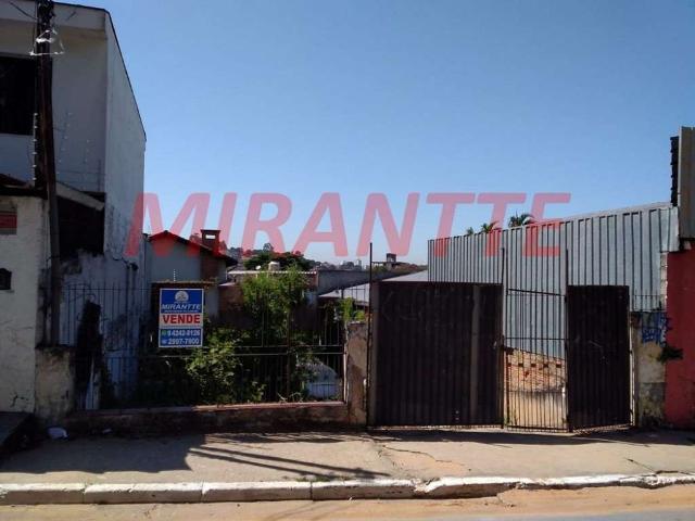 Terreno / Lote para Venda em São Paulo/SP Vila Albertina