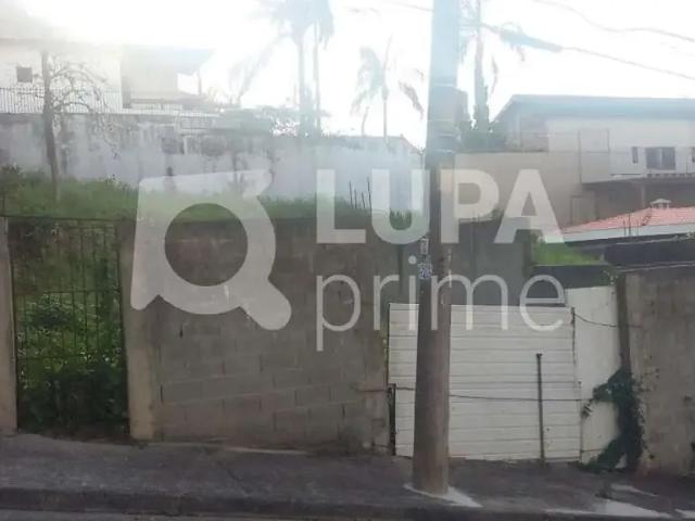 Terreno / Lote para Venda em São Paulo/SP Vila Albertina