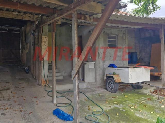 Terreno / Lote para Venda em São Paulo/SP Vila Albertina