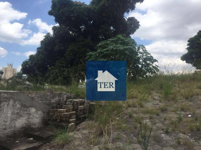 Terreno / Lote para Venda em São Paulo/SP Vila Albertina