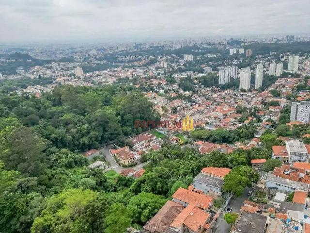 Terreno / Lote para Venda em São Paulo/SP Vila Albertina