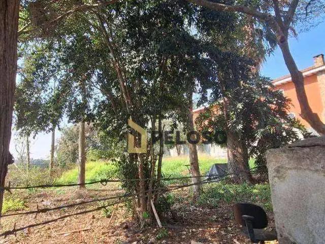 Terreno / Lote para Venda em São Paulo/SP Vila Albertina
