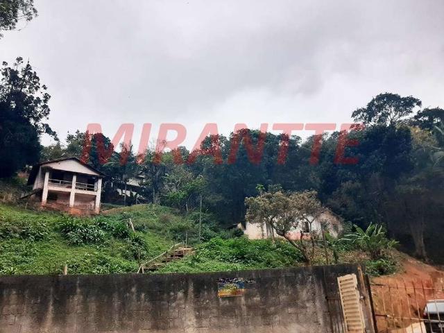 Terreno / Lote para Venda em São Paulo/SP Vila Albertina