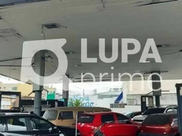 Terreno / Lote para Venda em São Paulo/SP Vila Albertina