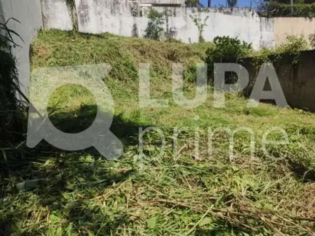 Terreno / Lote para Venda em São Paulo/SP Vila Albertina