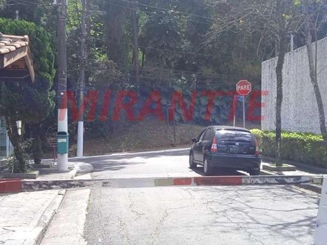 Terreno / Lote para Venda em São Paulo/SP Vila Albertina