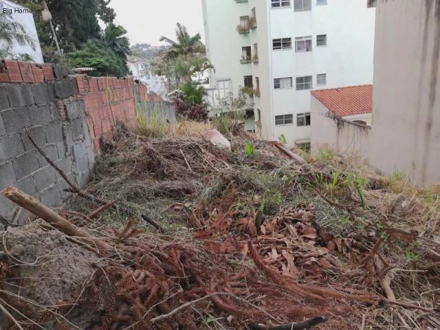 Terreno / Lote para Venda em São Paulo/SP Vila Albertina