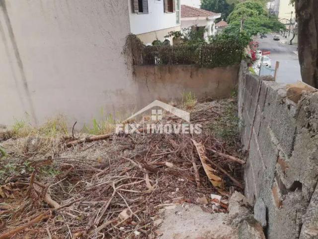 Terreno / Lote para Venda em São Paulo/SP Vila Albertina