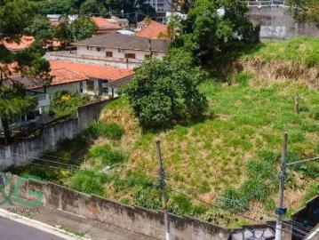 Terreno / Lote para Venda em São Paulo/SP Vila Albertina