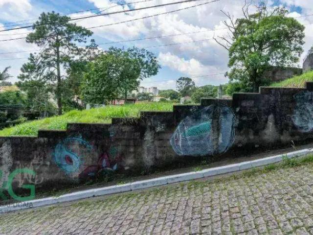 Terreno / Lote para Venda em São Paulo/SP Vila Albertina