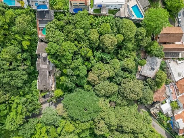Terreno / Lote para Venda em São Paulo/SP Vila Albertina