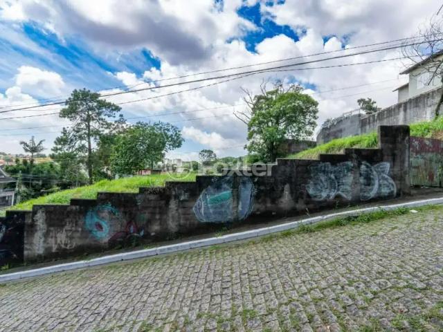 Terreno / Lote para Venda em São Paulo/SP Vila Albertina
