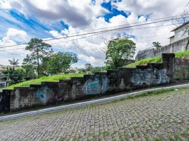 Terreno / Lote para Venda em São Paulo/SP Vila Albertina
