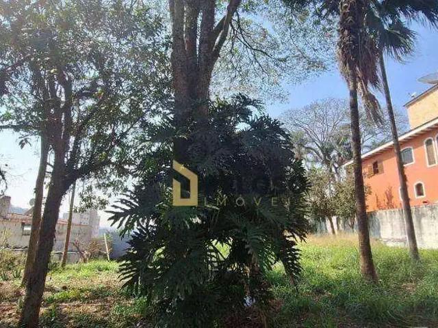 Terreno / Lote para Venda em São Paulo/SP Vila Albertina