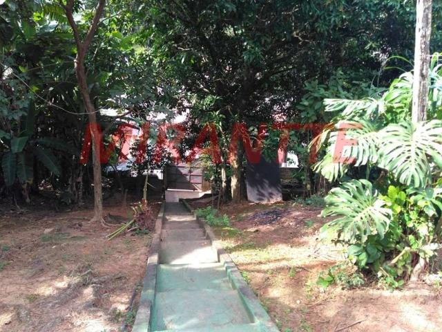 Terreno / Lote para Venda em São Paulo/SP Vila Albertina