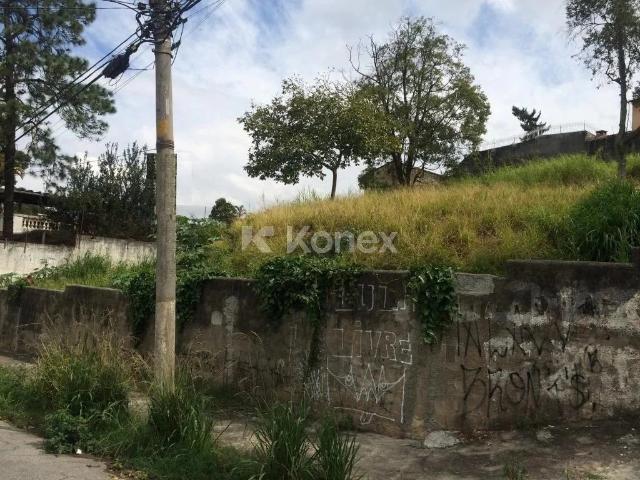 Terreno / Lote para Venda em São Paulo/SP Vila Albertina