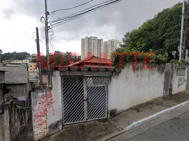 Terreno / Lote para Venda em São Paulo/SP Vila Amália