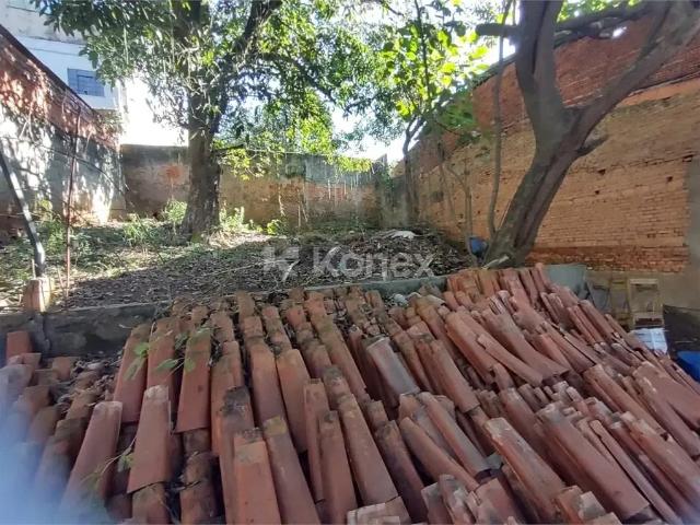 Terreno / Lote para Venda em São Paulo/SP Vila Amália Zona Norte 1 Quartos