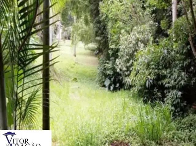 Terreno / Lote para Venda em São Paulo/SP Vila Amélia